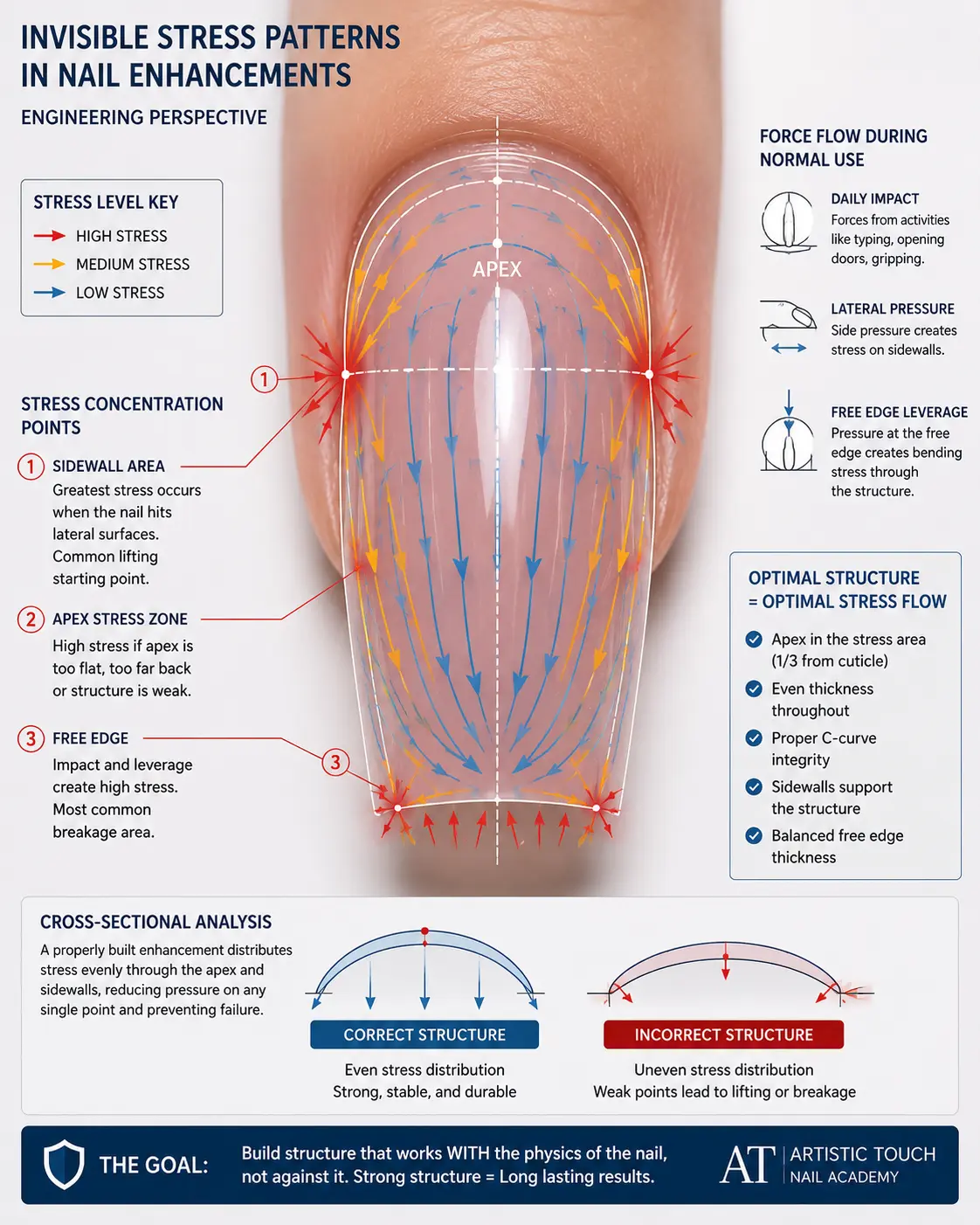 Nail enhancement with stress pattern visualization overlay showing force flow concentration points and distribution that advanced professionals mentally analyse during technique decisions